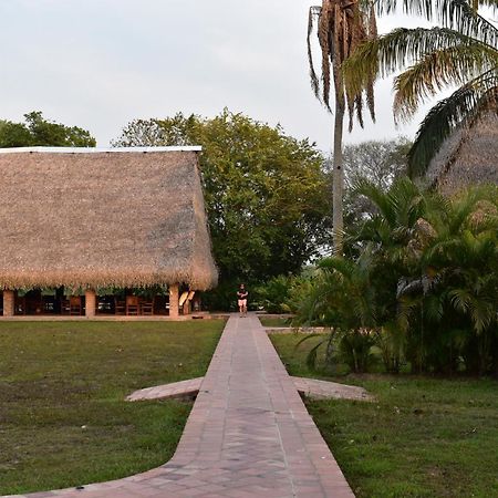 Savanna Orinoquia Lodge Orocue Bagian luar foto