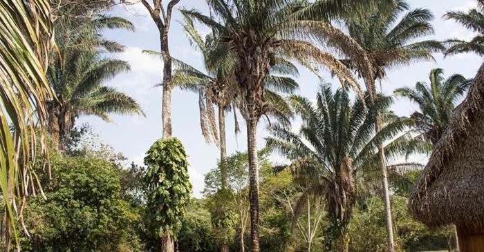 Savanna Orinoquia Lodge Orocue Bagian luar foto